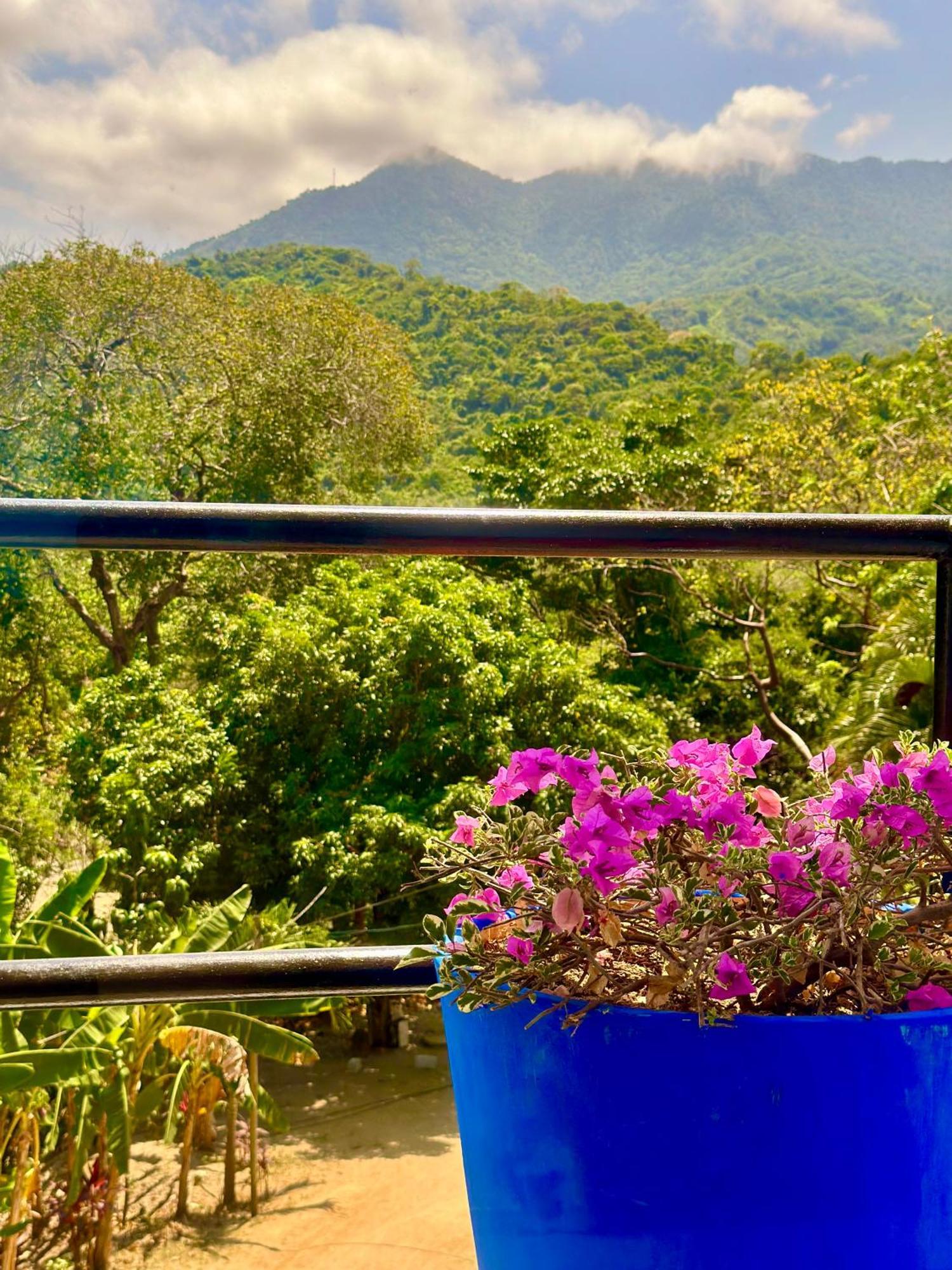 Tayrona Angel Lodge El Zaino Exterior foto
